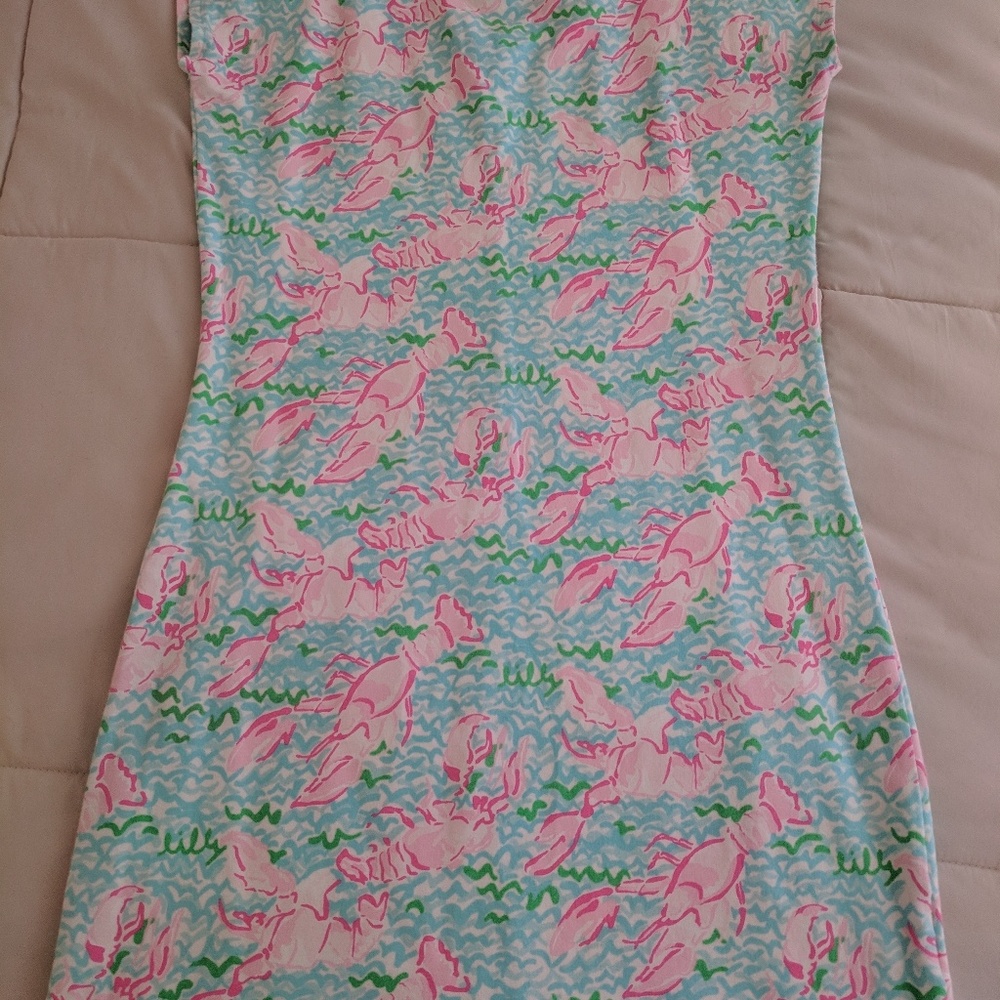 Lilly pulitzer dress